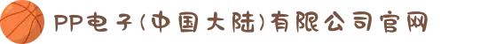 PP电子(中国大陆)有限公司官网